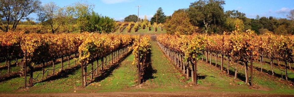 envolvewinery's profile banner image