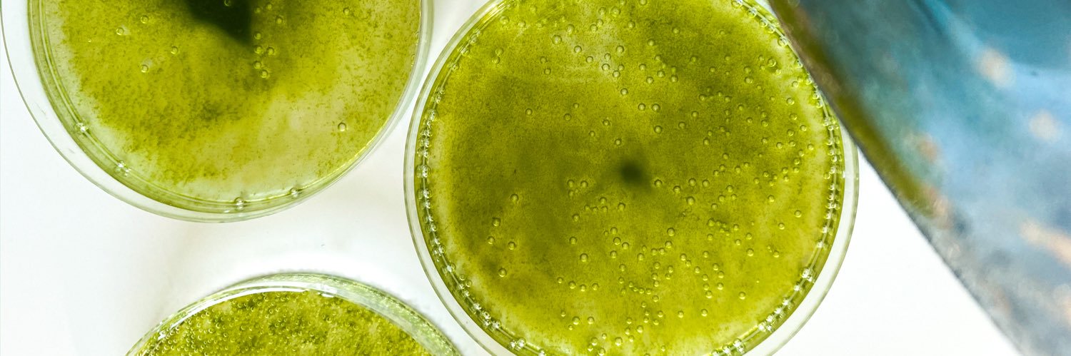 Particula Group banner