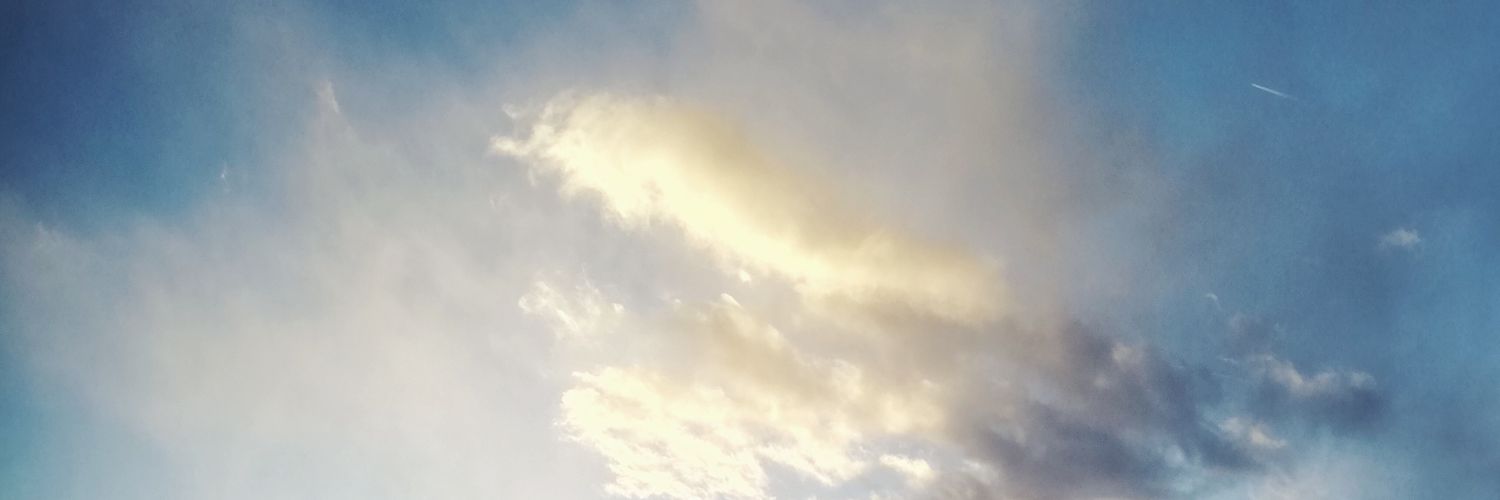 toudemae's profile banner image