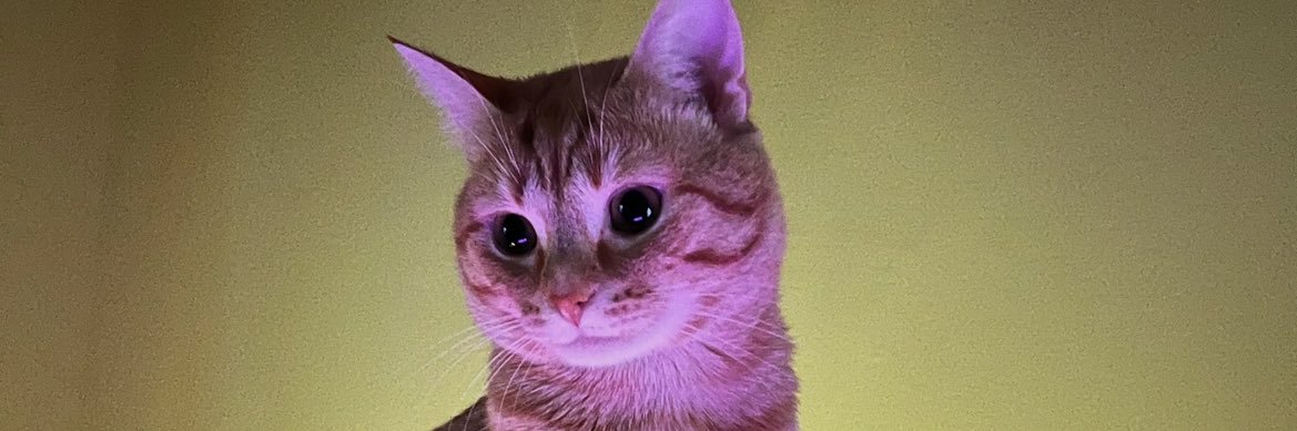 TrollHy's profile banner image