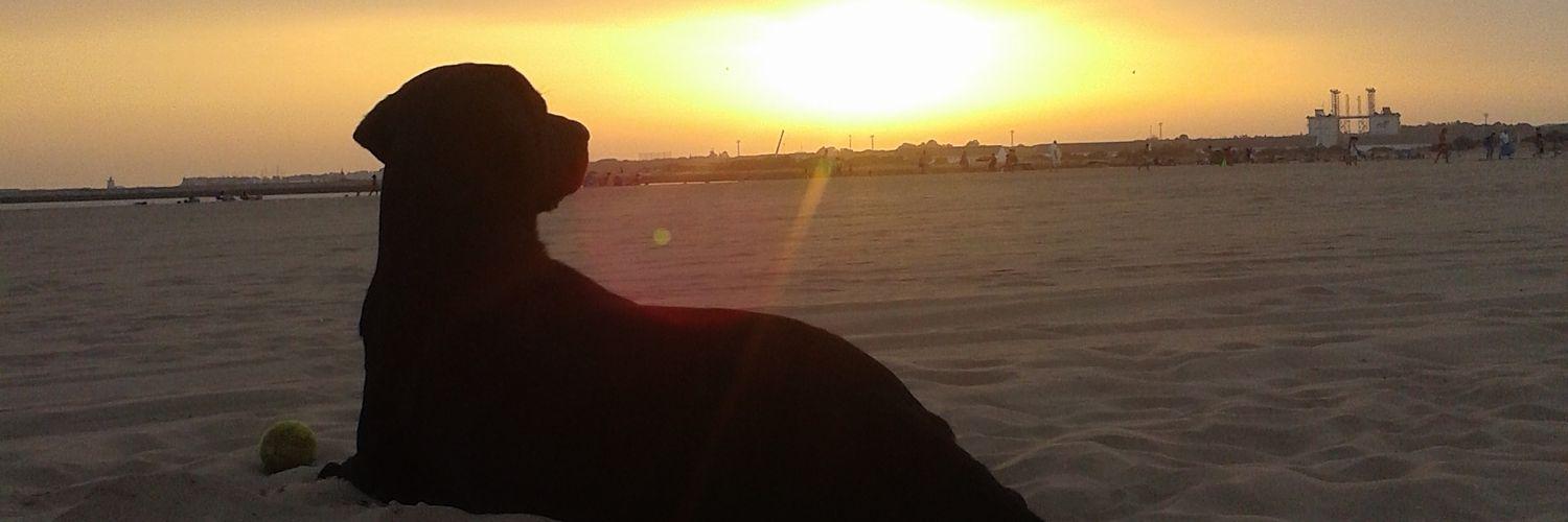 NBarragan9's profile banner image