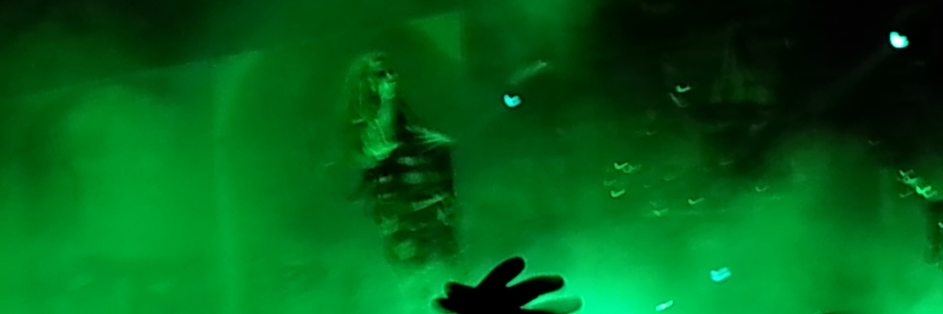 TankedShelf's profile banner image