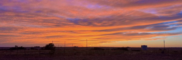 NotAlexMachado Profile Banner