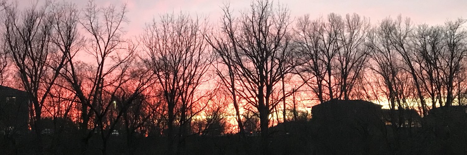 Clarkcardinal1's profile banner image