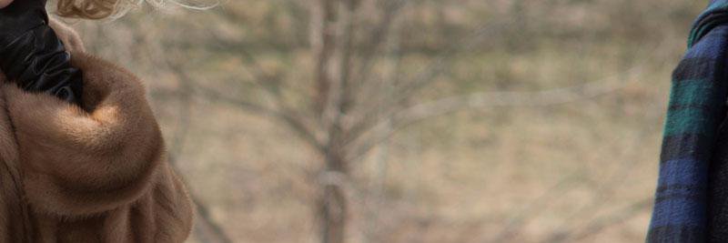 _netfilms's profile banner image