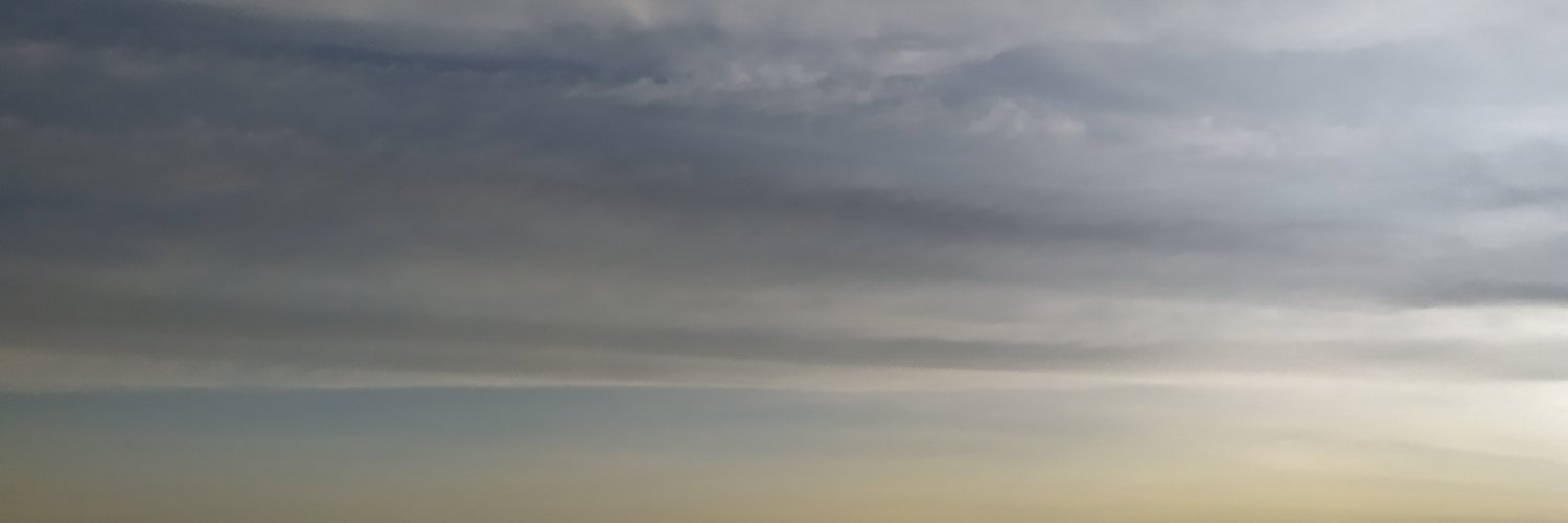 🐣 banner