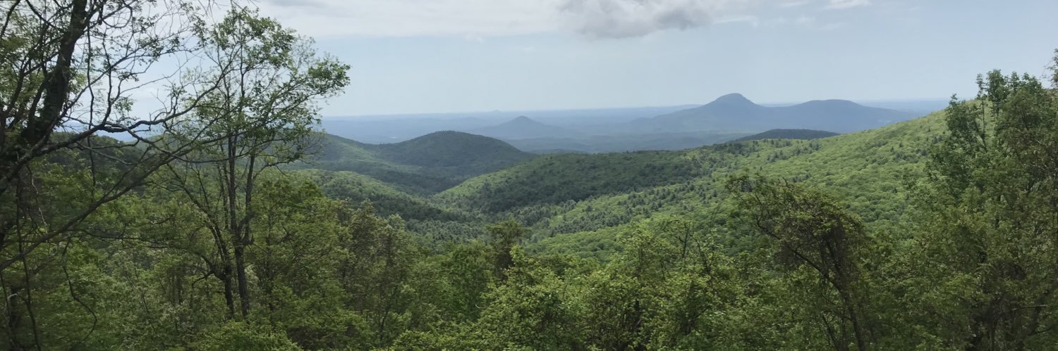 Anna K. Brainerd banner