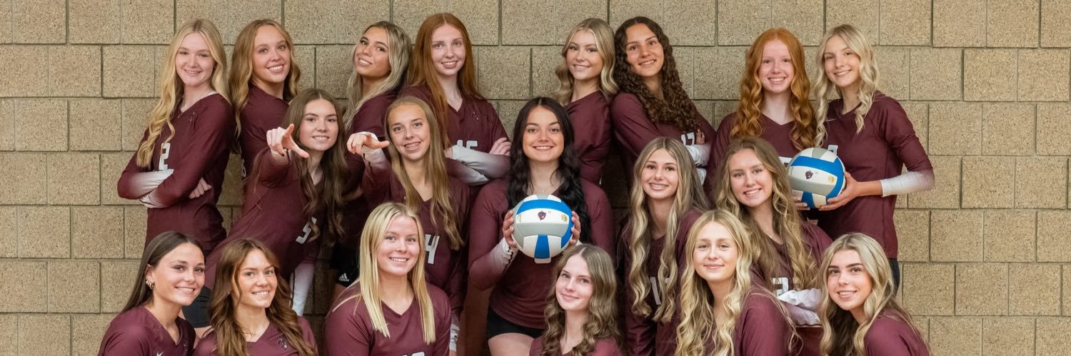 Demon Volleyball banner