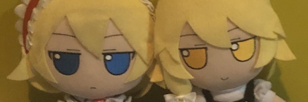 erli banner