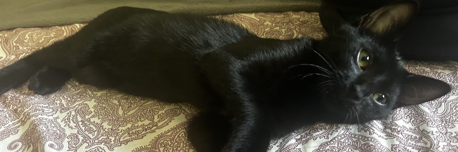 blue moon 🕸 banner