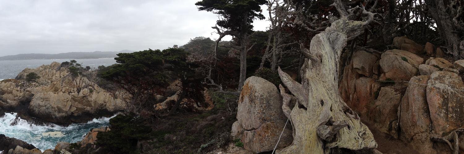 lesliemb's profile banner image