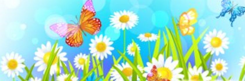 louisemetca's profile banner image