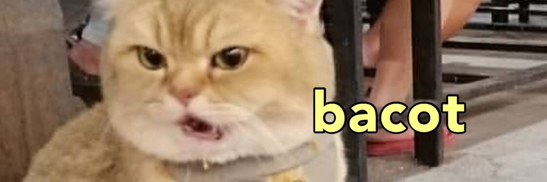 PutraAmanda_'s profile banner image