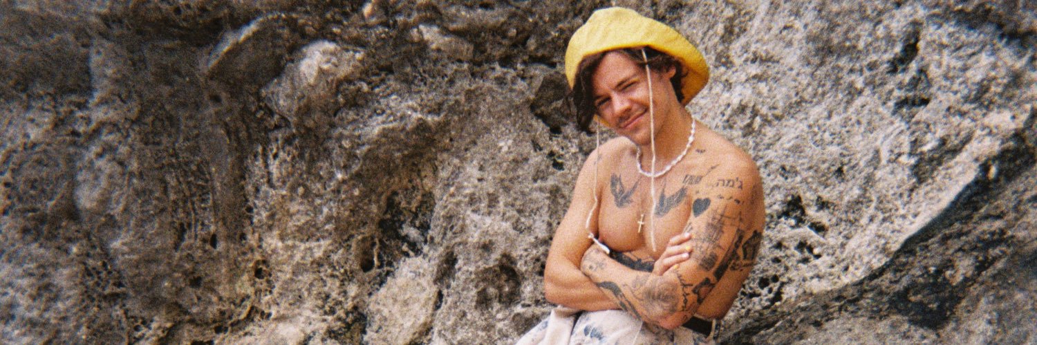 sarahᴴ loves harry 𐙚's banner