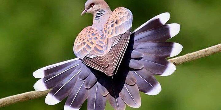 hidayatyar's profile banner image