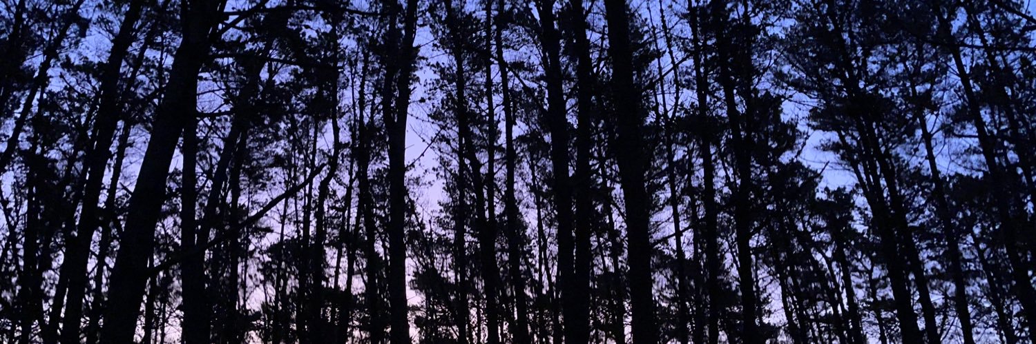 JustAlbany's profile banner image
