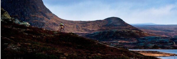 Birnstar Profile Banner