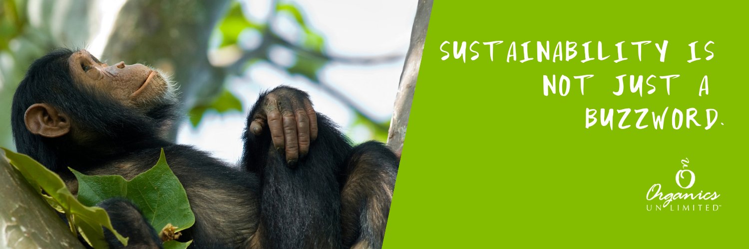 OUbananas's profile banner image