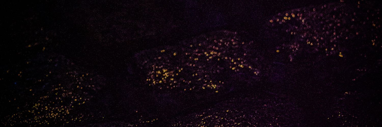 ColoredLedger banner