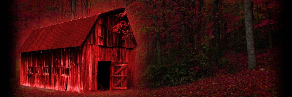 The Demon's Light Wiki banner