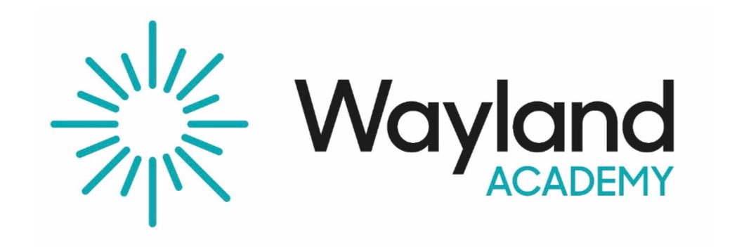 Wayland Maths Department banner