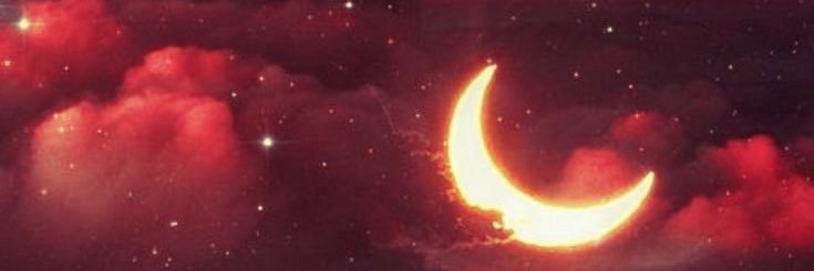 Palesa banner
