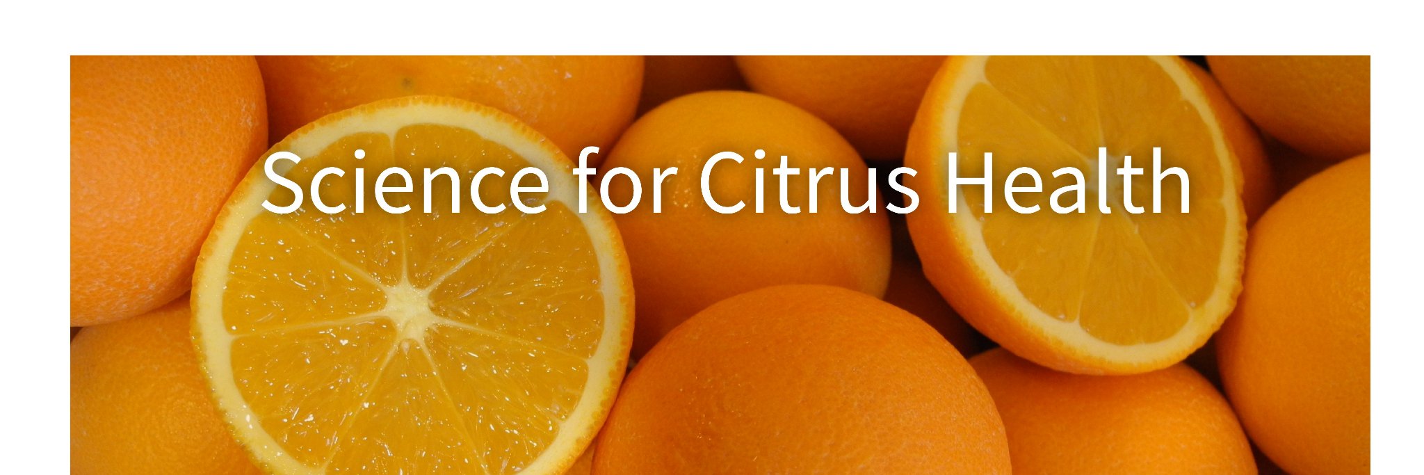 sci4citrus's profile banner image