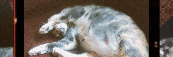 MattiAstr's profile banner image
