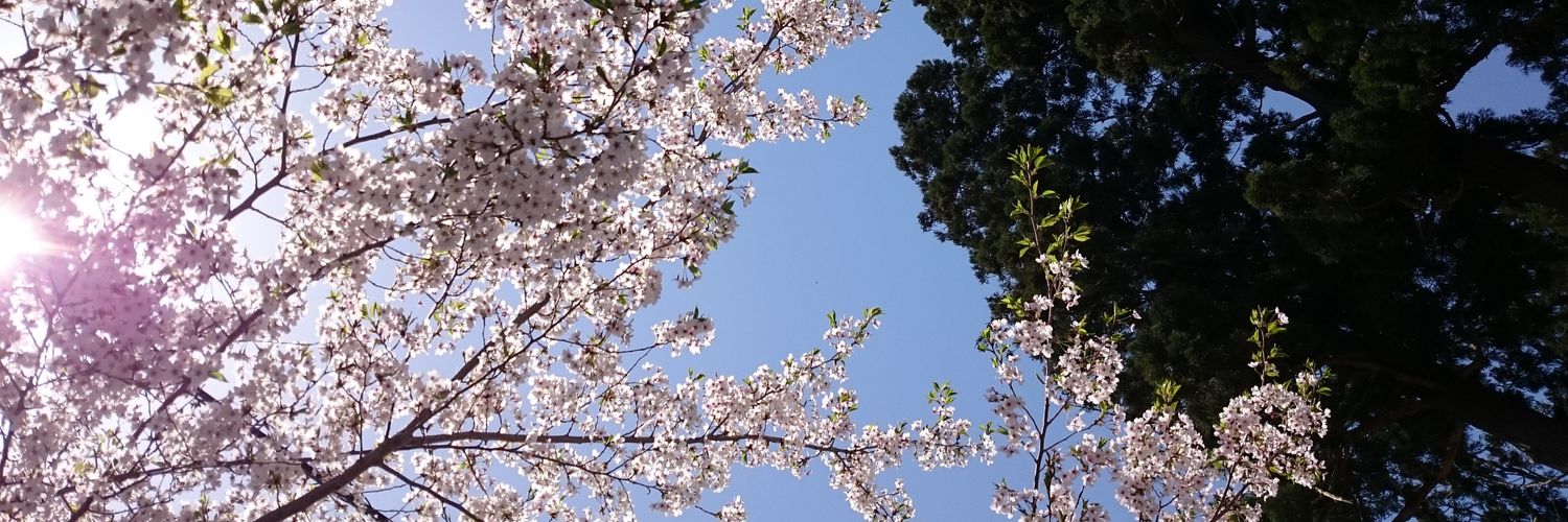 aidepikuy's profile banner image