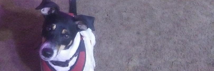 EdwardF77240779's profile banner image