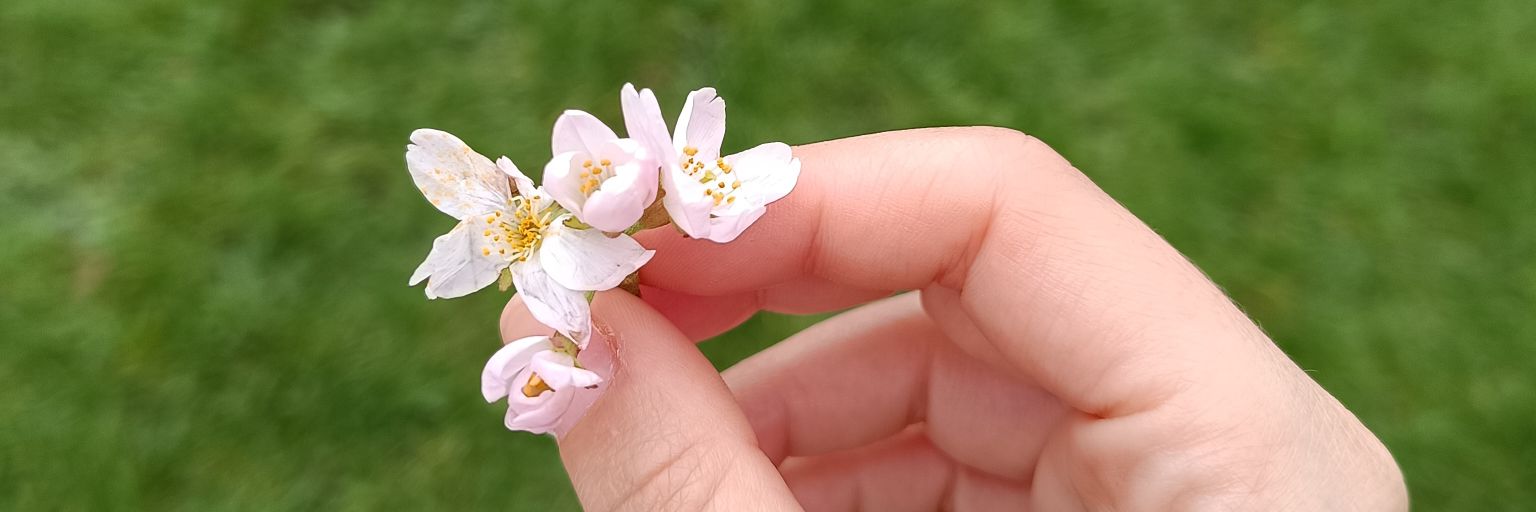Itsnialopez's profile banner image