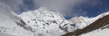 Arkadiusz Młynarczyk banner