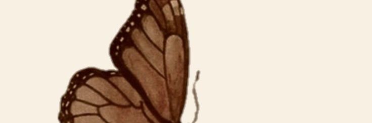 Lea Le banner