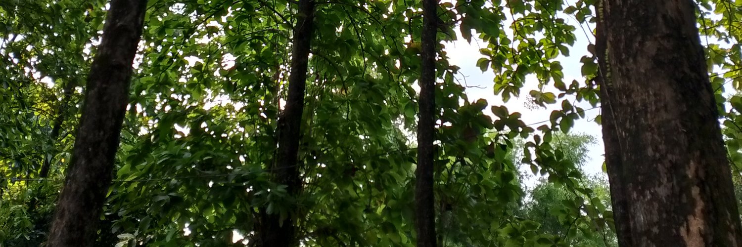 Renia_29's profile banner image