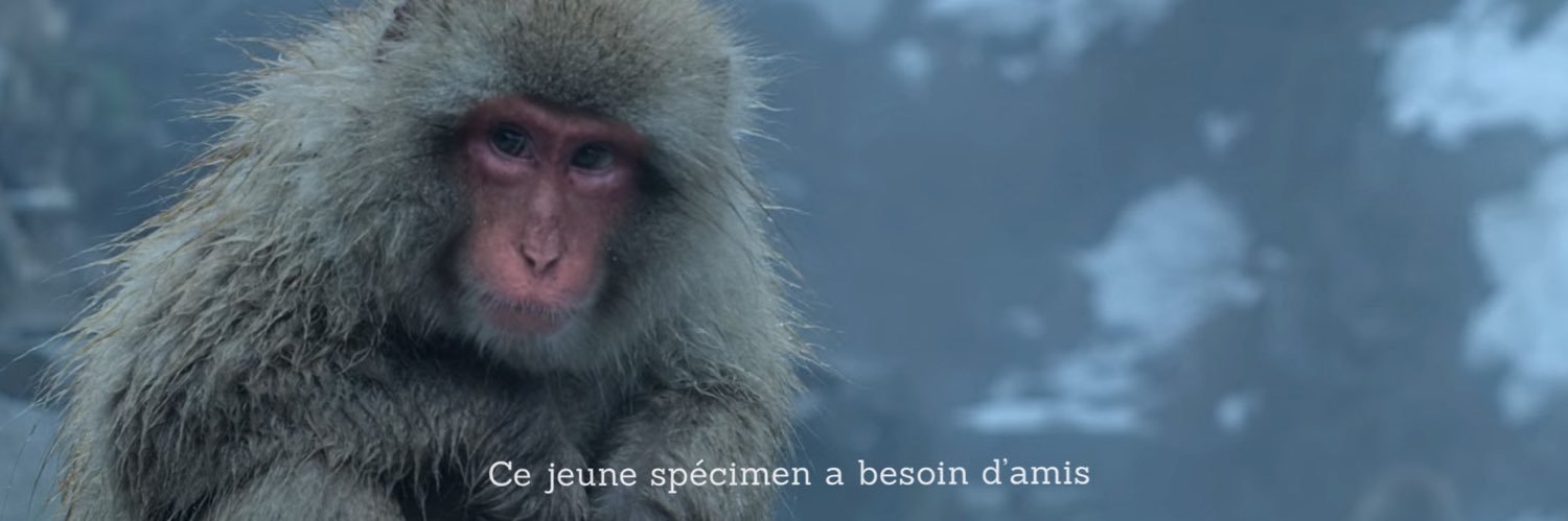 k ᵐᵉᵐᵘᵛᵈ banner