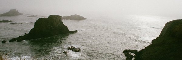 spinubzilla Profile Banner