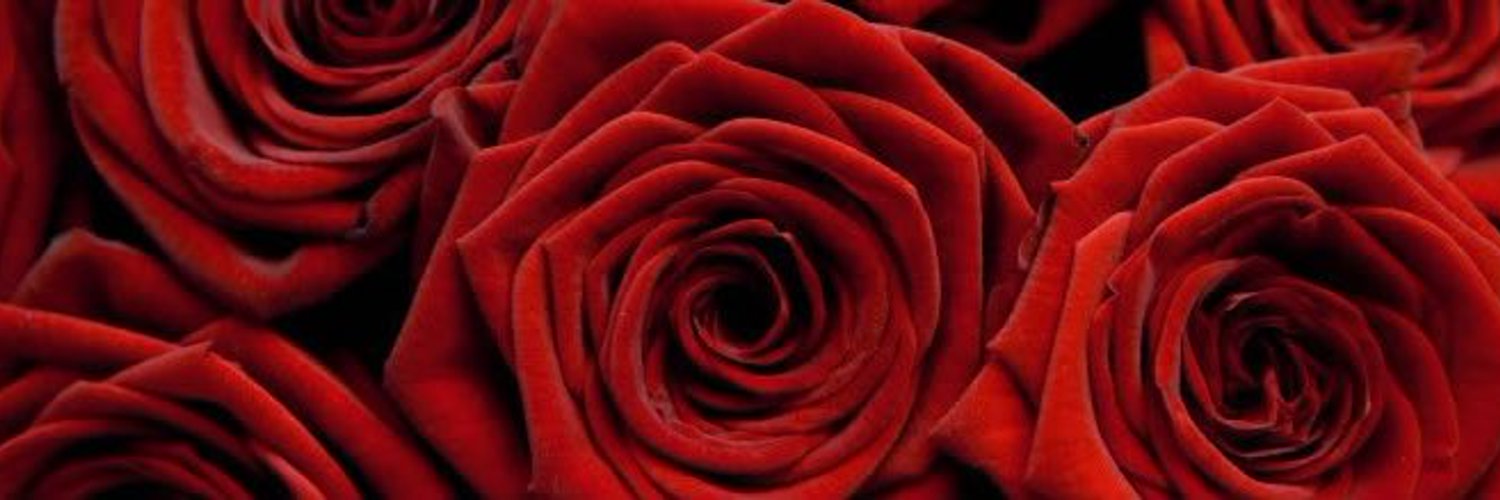 The final rose The final rose