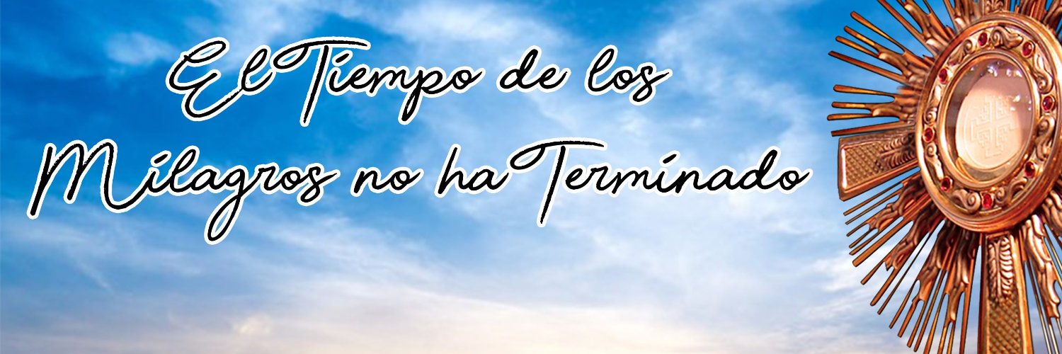 dei_verbum's profile banner image