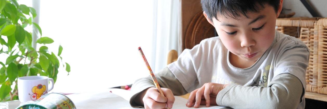 ベネッセ教育総合研究所 banner