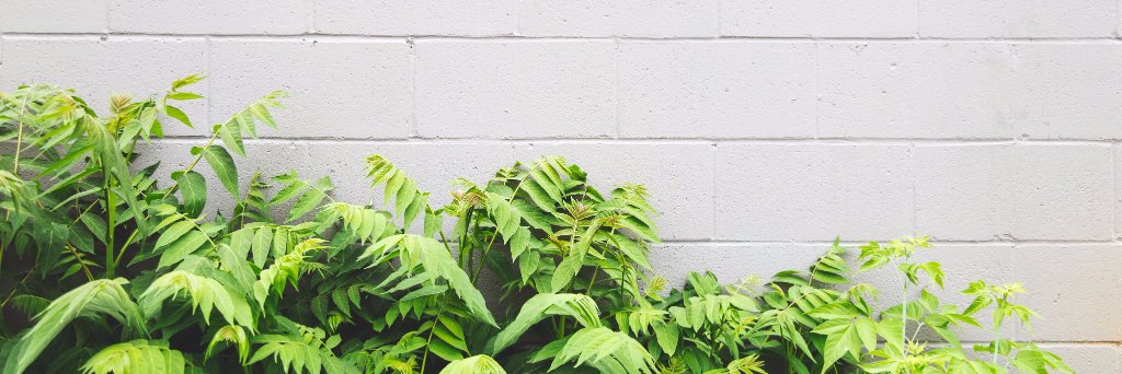 CWH_Hydroponics's profile banner image
