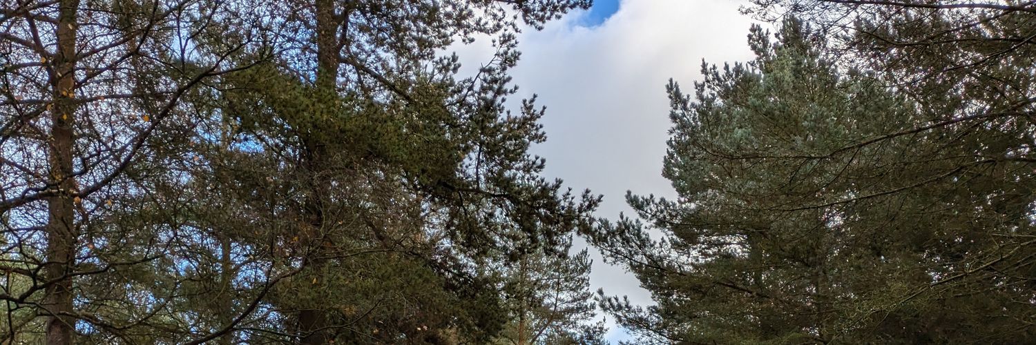 peejaytwit's profile banner image