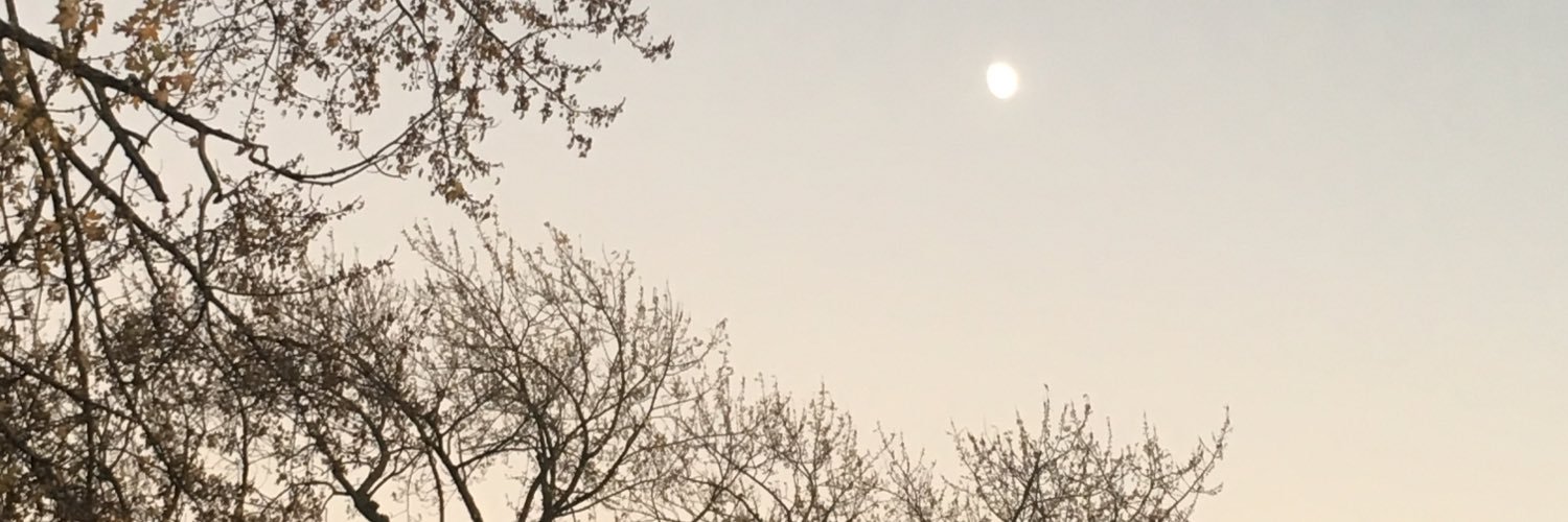 megiscooooool's profile banner image