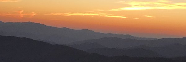 AnnaResearcher Profile Banner