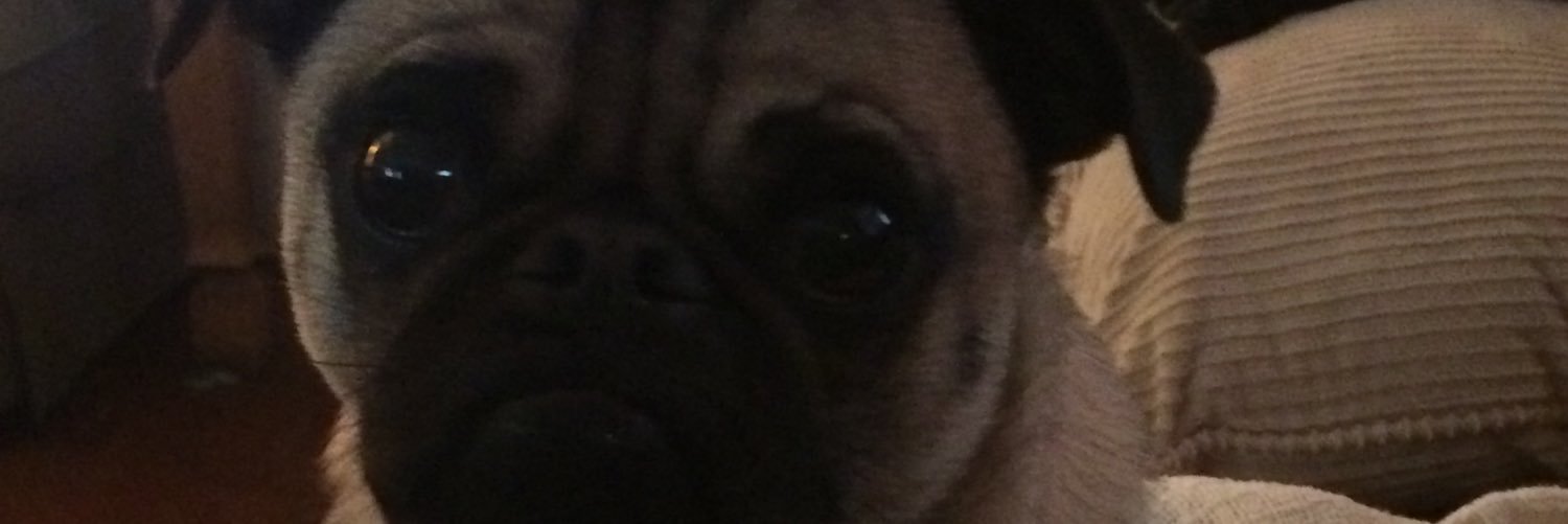 hollychris24's profile banner image