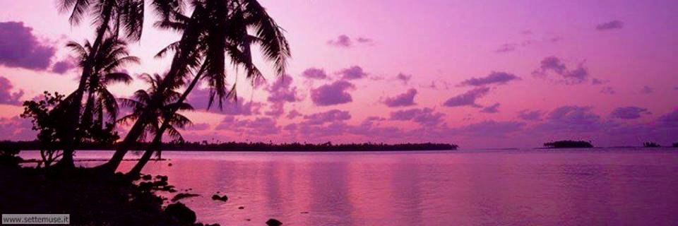 lenci72's profile banner image