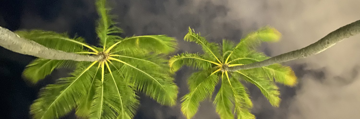 alliemayne's profile banner image
