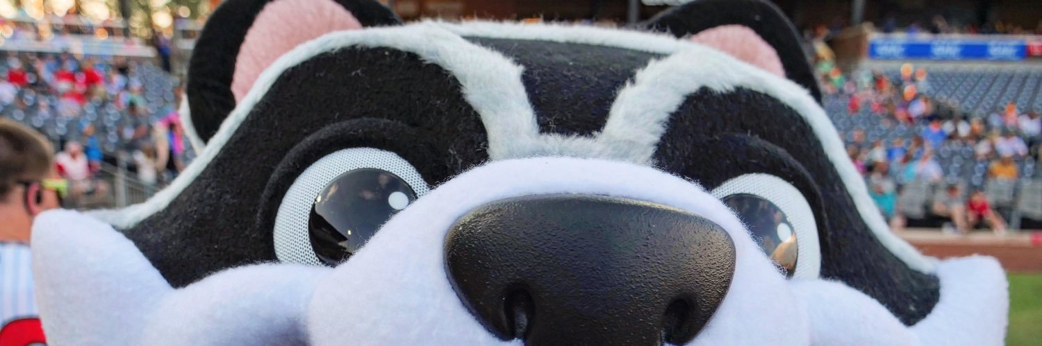 Rocket City Trash Pandas's banner
