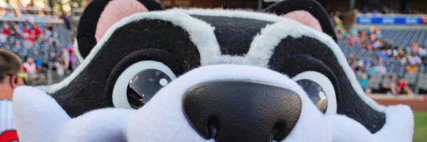 trashpandas Profile Banner
