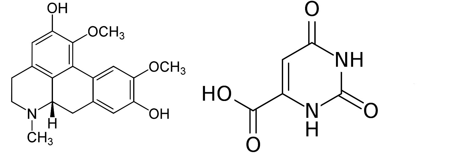 Preston Bobo, Chemgod 🦋 banner