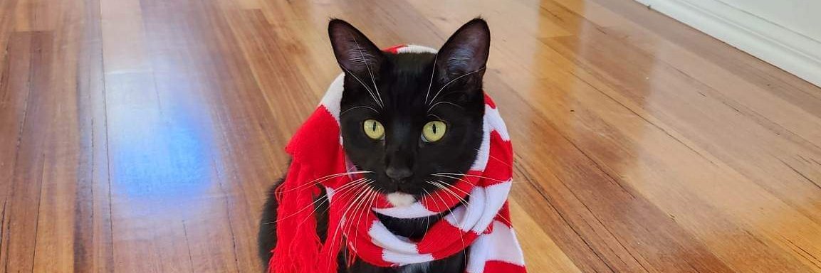 Dr Sarah Bonell banner